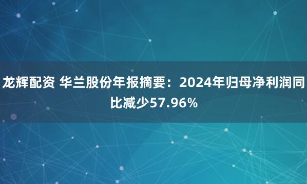 龙辉配资 华兰股份年报摘要：2024年归母净利润同比减少57.96%