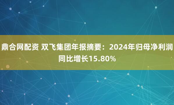 鼎合网配资 双飞集团年报摘要：2024年归母净利润同比增长15.80%