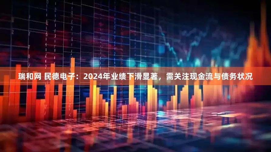 瑞和网 民德电子：2024年业绩下滑显著，需关注现金流与债务状况