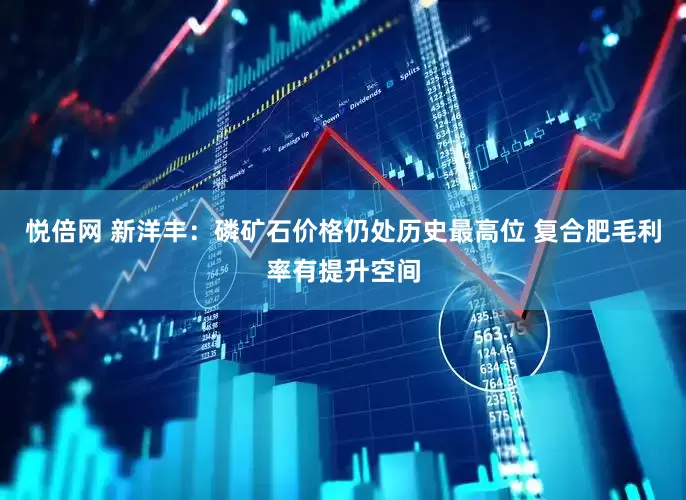 悦倍网 新洋丰：磷矿石价格仍处历史最高位 复合肥毛利率有提升空间