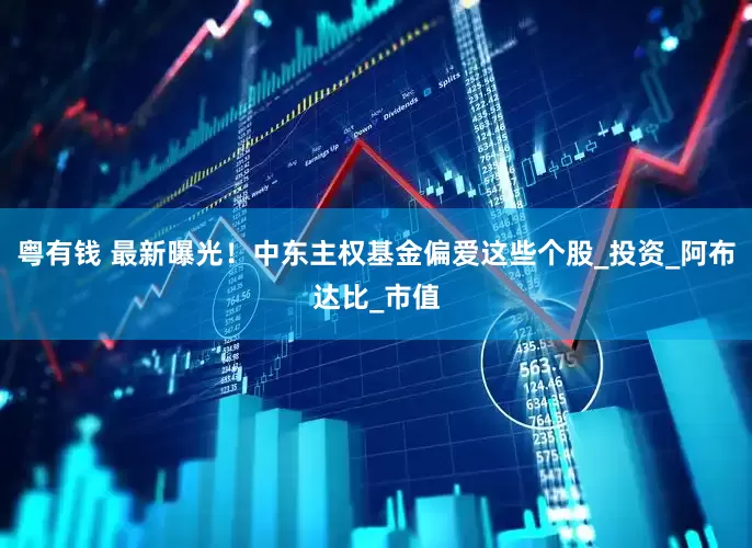 粤有钱 最新曝光！中东主权基金偏爱这些个股_投资_阿布达比_市值