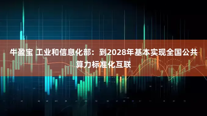 牛盈宝 工业和信息化部：到2028年基本实现全国公共算力标准化互联