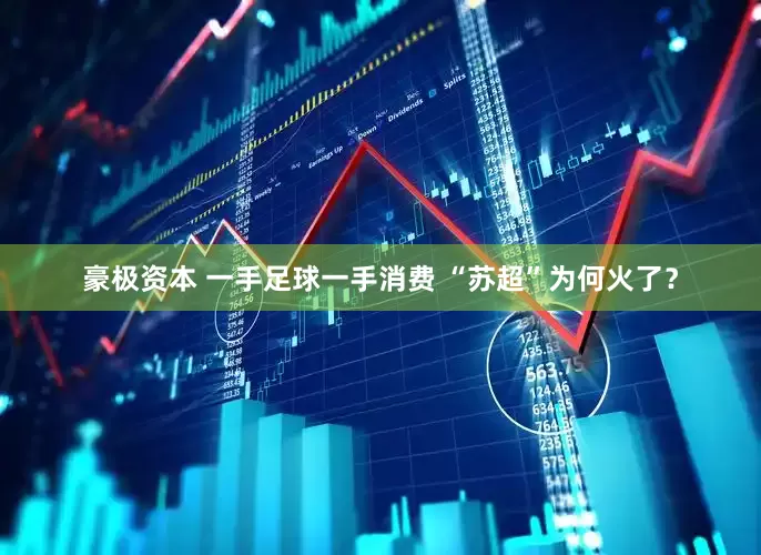 豪极资本 一手足球一手消费 “苏超”为何火了？